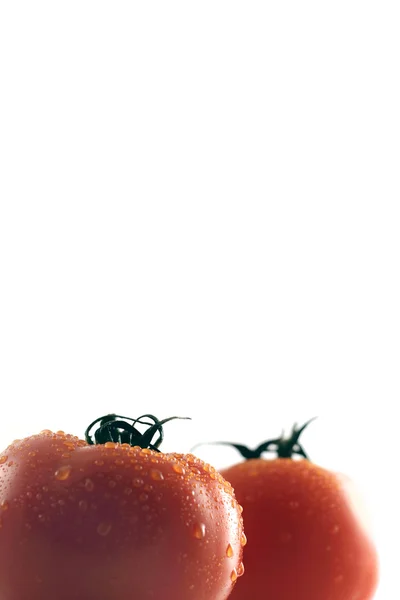Мокрые томаты — стоковое фото