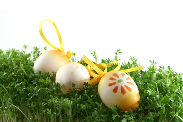 Easter eggs on cress — Stock Photo, Image
