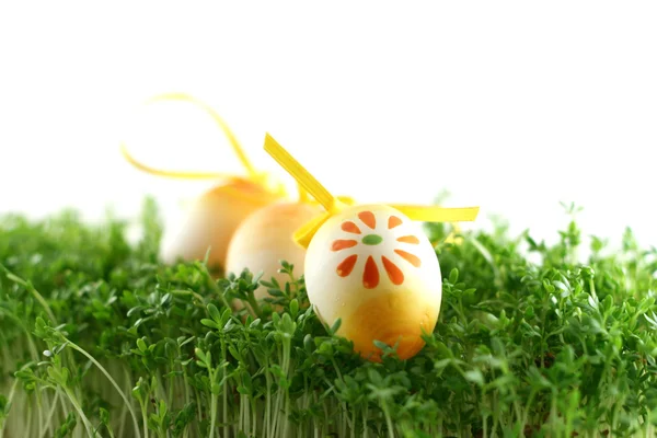 Pasen eieren op tuinkers — Stockfoto