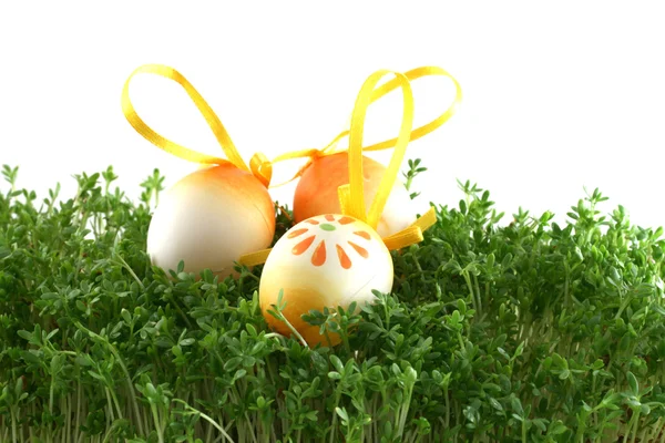 Easter eggs on cress — Stock Photo, Image