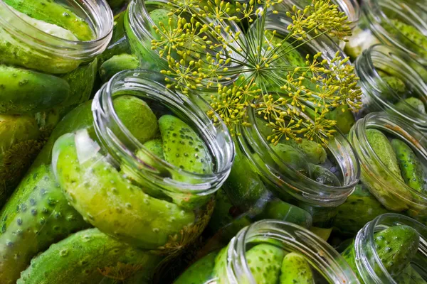 Gurkor pickles — Stockfoto