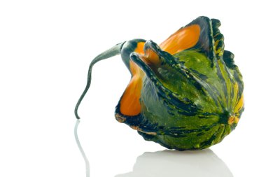 Dekorasyon kabak üzerine beyaz izole