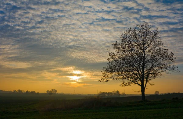 Pôr do sol de outono em polônia pomerania — Fotografia de Stock