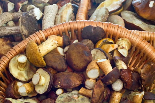 Mushrooms in baskets — Stock Photo, Image
