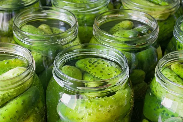Okurky salátové okurky — Stock fotografie