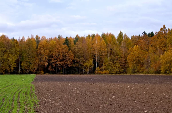 Stock image Autumn landscape