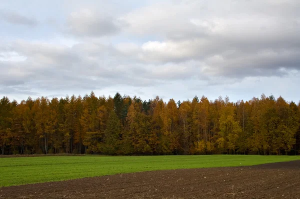 stock image Autumn landscape