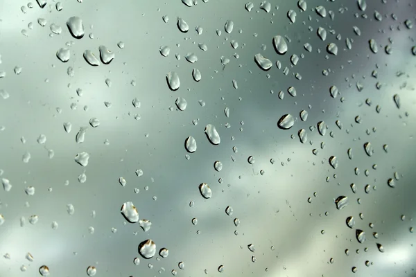 stock image Drops on glass after rain