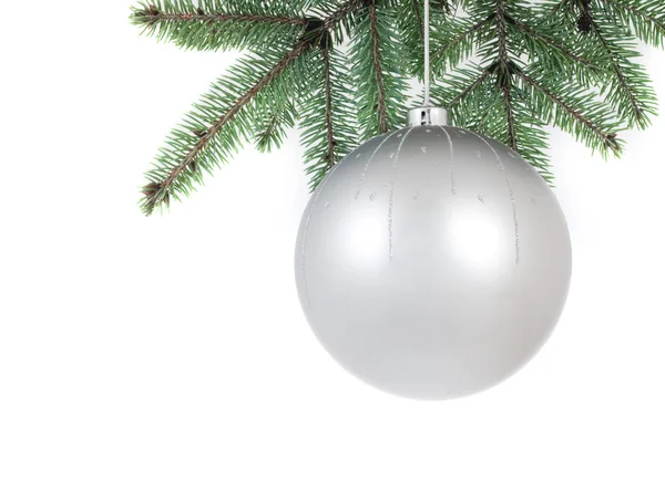 Isolated christmass glass ball on tree — Stock Photo, Image
