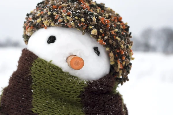 stock image Snowman