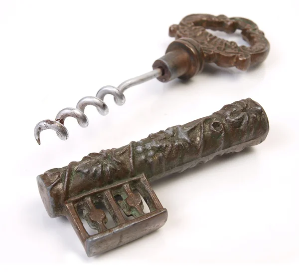 Antique Key to vine — Stock Photo, Image