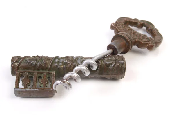 Antique Key to vine — Stock Photo, Image