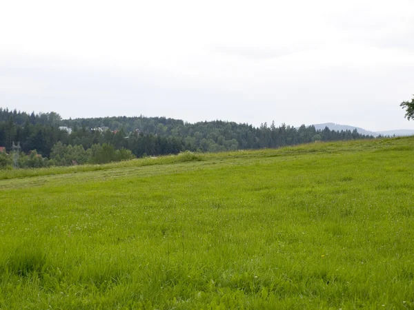 Rolnych wieś - krajobraz — Zdjęcie stockowe