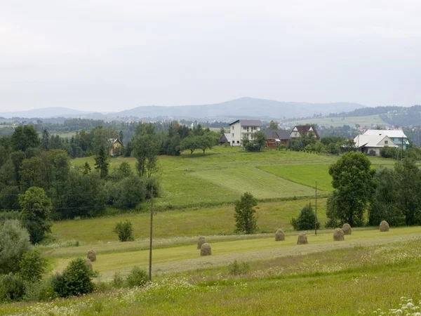 Agrarisch dorp - landschap — Stockfoto