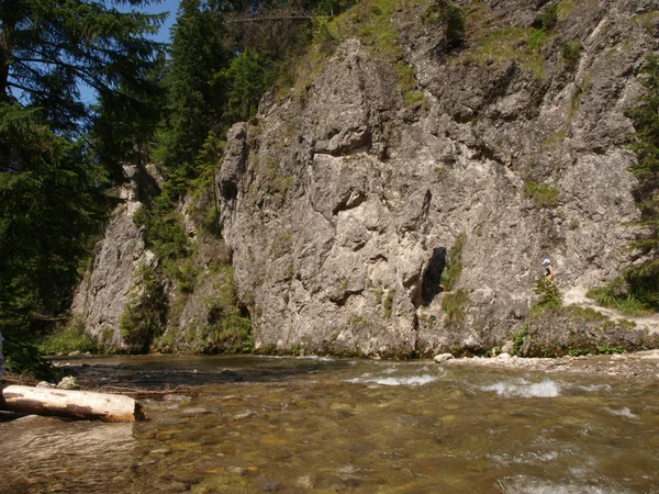 Ruisseau de montagne Photos De Stock Libres De Droits