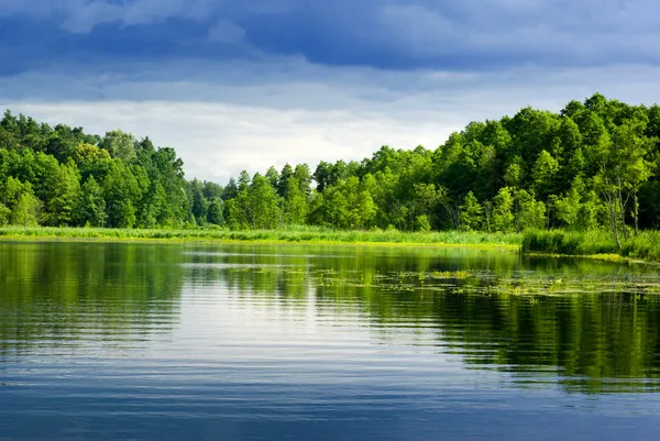 Göl ve orman. Stok Fotoğraf
