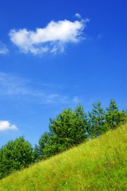 Balık ağı.