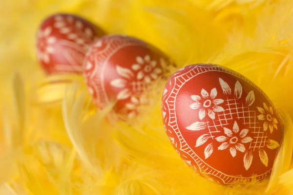 Velikonoční vajíčka. — Stock fotografie