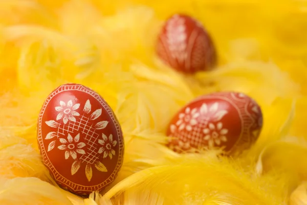 Uovo di Pasqua. — Foto Stock