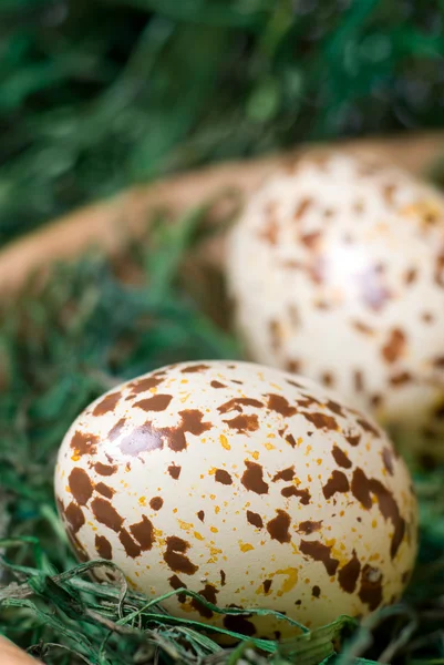 Easter eggs. — Stock Photo, Image