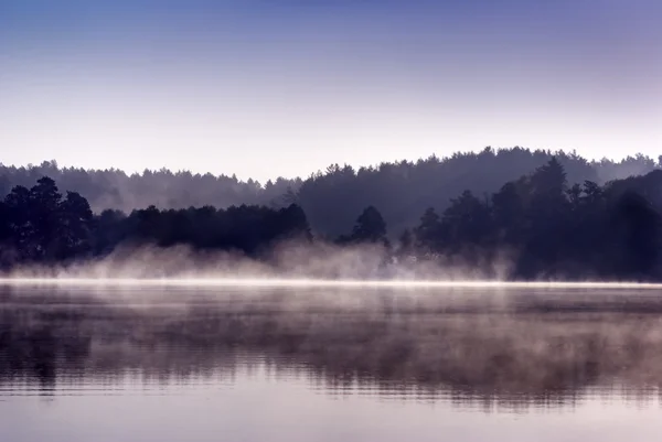 Misty morning. — Stock Photo, Image
