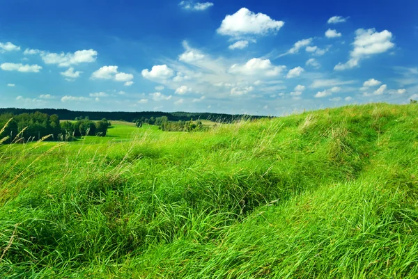 Landscape Stock Picture