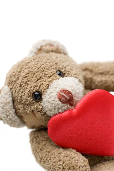 Valentine's Teddy Bear. — Stock Photo, Image
