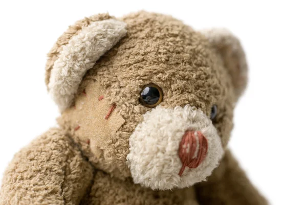 Portretul lui Teddy Bear . — Fotografie, imagine de stoc