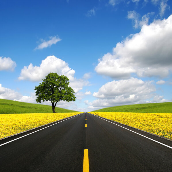 Дорога вперед
