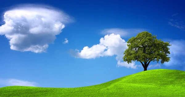Groen landschap panorama — Stockfoto