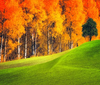 Autumn landscape clipart