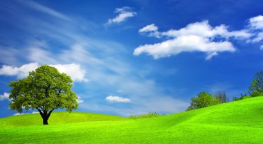 Yeşil manzara ve bulutlu gökyüzü