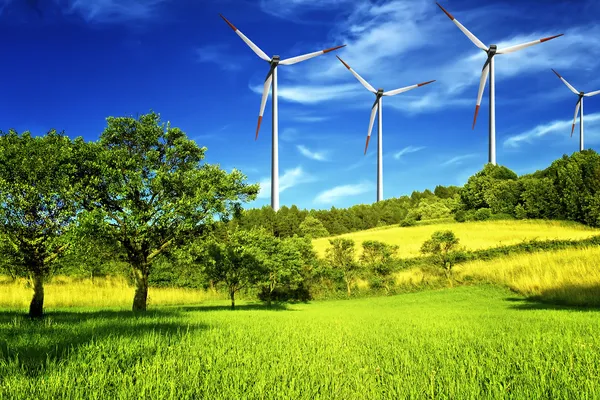 Ветряная мельница и зеленый луг — стоковое фото