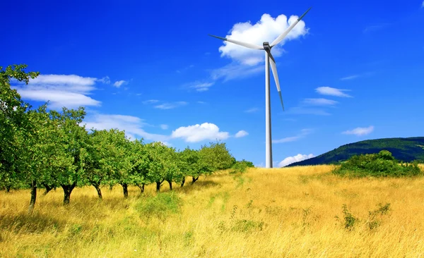 Apple orchard and wind turbine — Stock Photo, Image