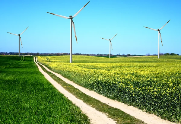 Campo de verão e moinhos de vento — Fotografia de Stock