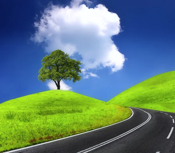 Straße und grüner Baum — Stockfoto