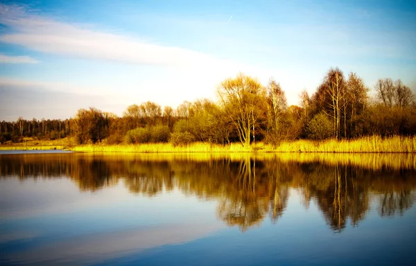 Pond water surface with reflection — Stock Photo, Image