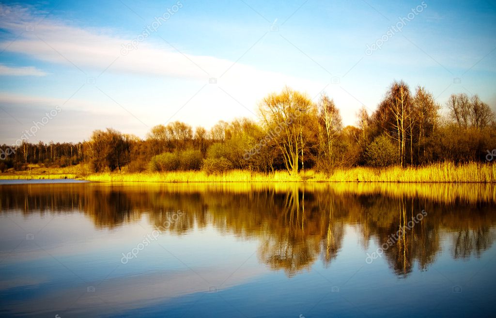 Pond water surface with reflection