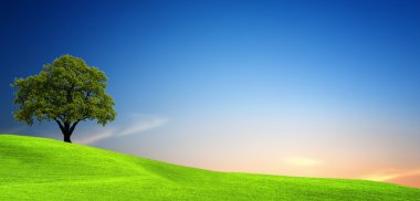 Tree in green field clipart