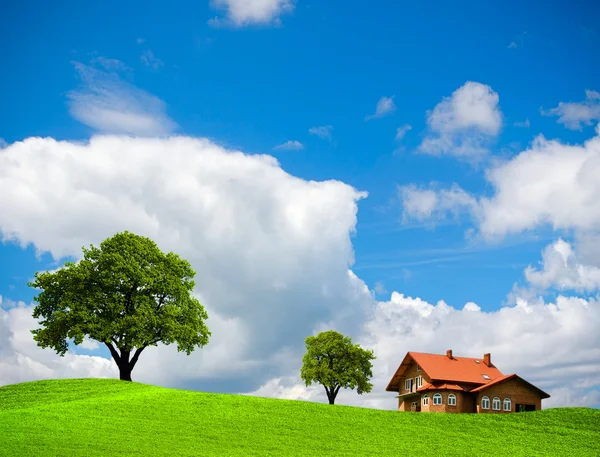 녹색 언덕에 집 — 스톡 사진