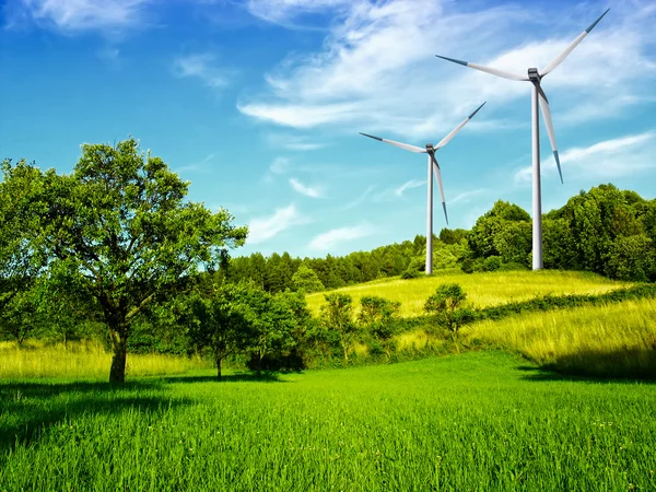 Windmill and beautiful summer landscape — Stock Photo, Image