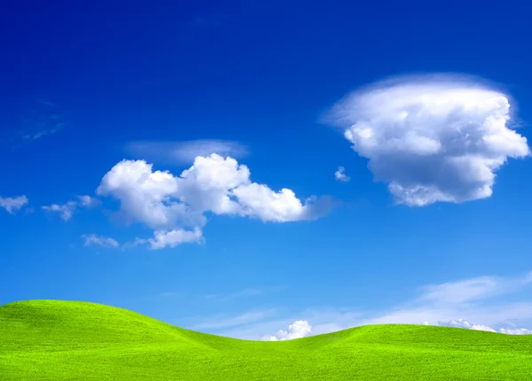 Grüne Landschaft und bewölkter Himmel — Stockfoto