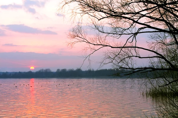 Puesta de sol roja sobre el lago — Foto de Stock