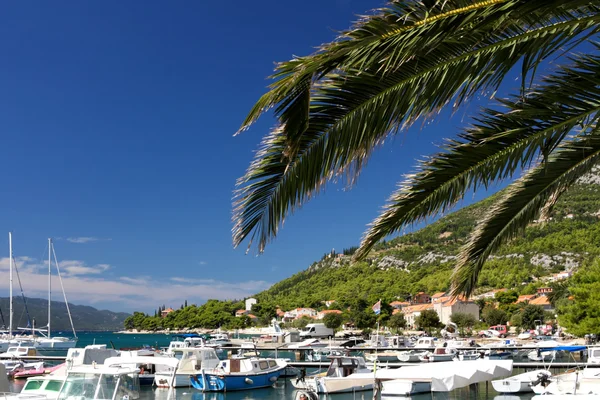 Beautiful seascape, Croatia — Stock Photo, Image