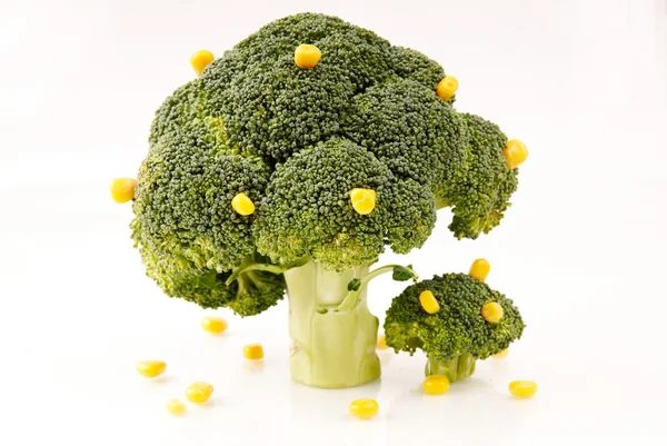 Brokolice stromy — Stock fotografie