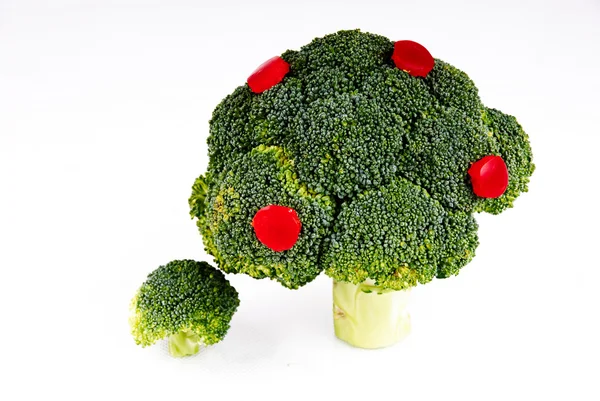 Broccoli bomen — Stockfoto