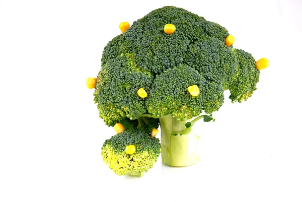 Brokolice stromy — Stock fotografie