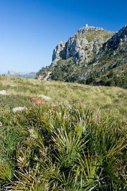 Landscape from Mallorca clipart