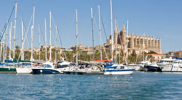 Palma de Mallorca Katedrali