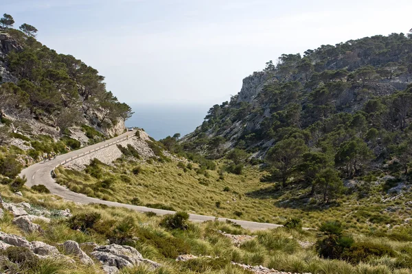 Coastline of island Mallorca — Stock Photo, Image